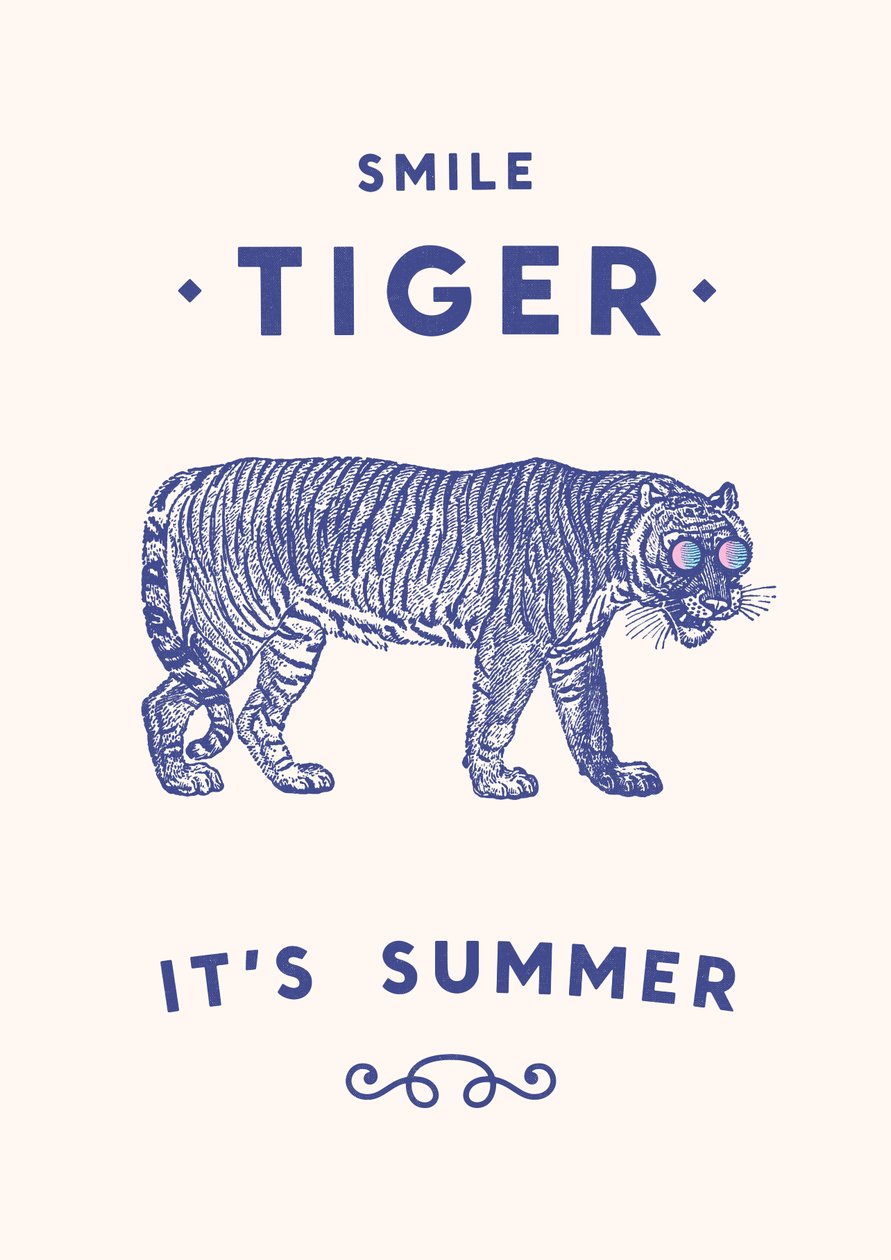 Smile Tiger by Florent Bodart