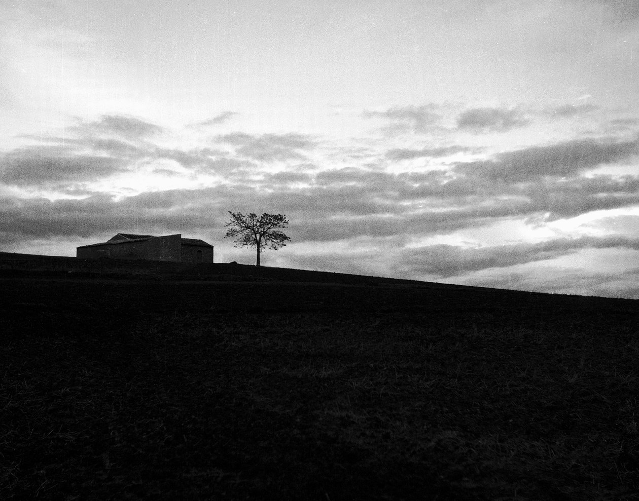 House on the Hill by Fosco Maraini