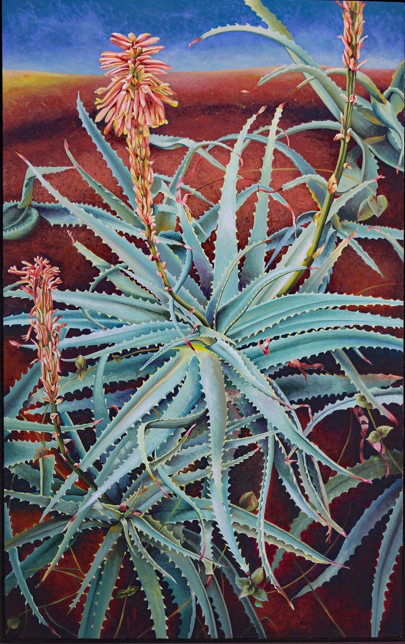 Aloe by Frances Ferdinands