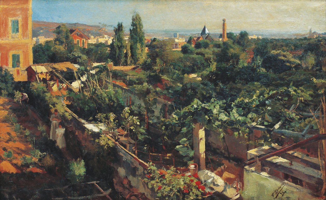 The Grapevines by Francesc Gimeno