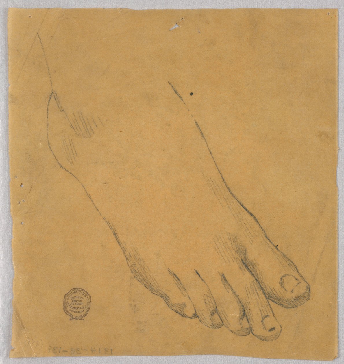 Study of a Right Foot by Francis Augustus Lathrop