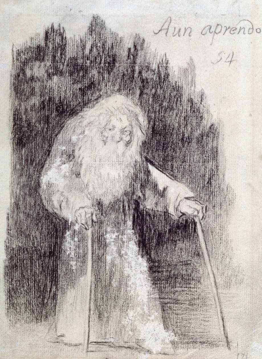 I Am Still Learning by Francisco de Goya