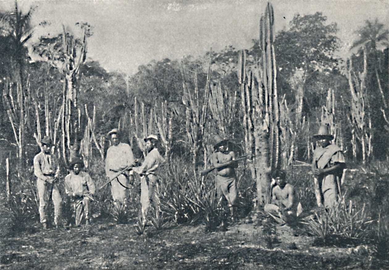 Campos by Francisco Henszler