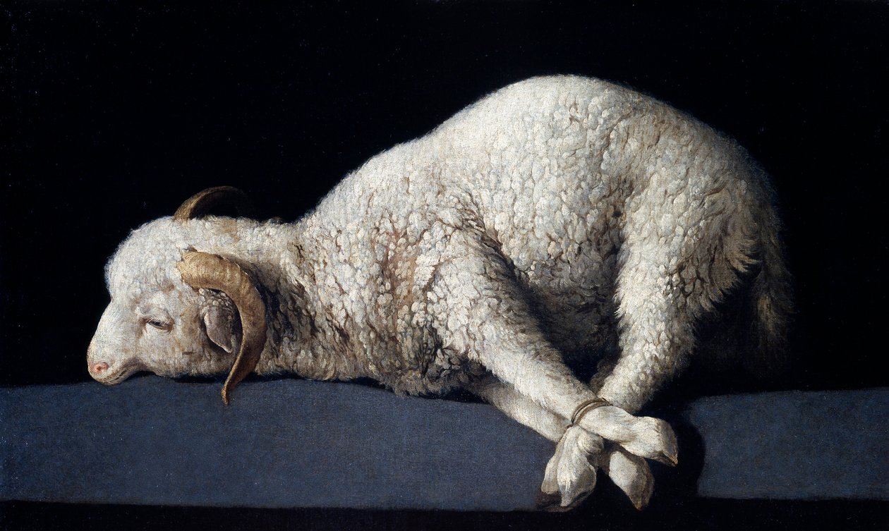 Agnus Dei by Francisco de Zurbaran