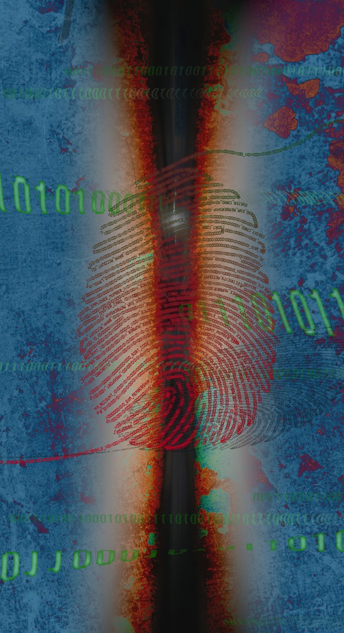DIG1TS, 2014 by Francois Domain