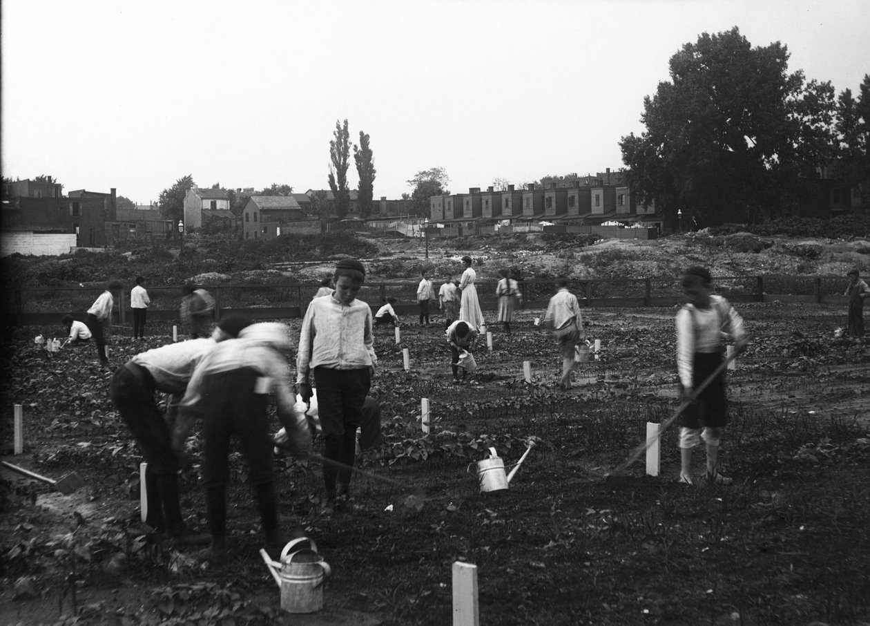 Vacant Lot Garden by Franklin Davenport Edmunds