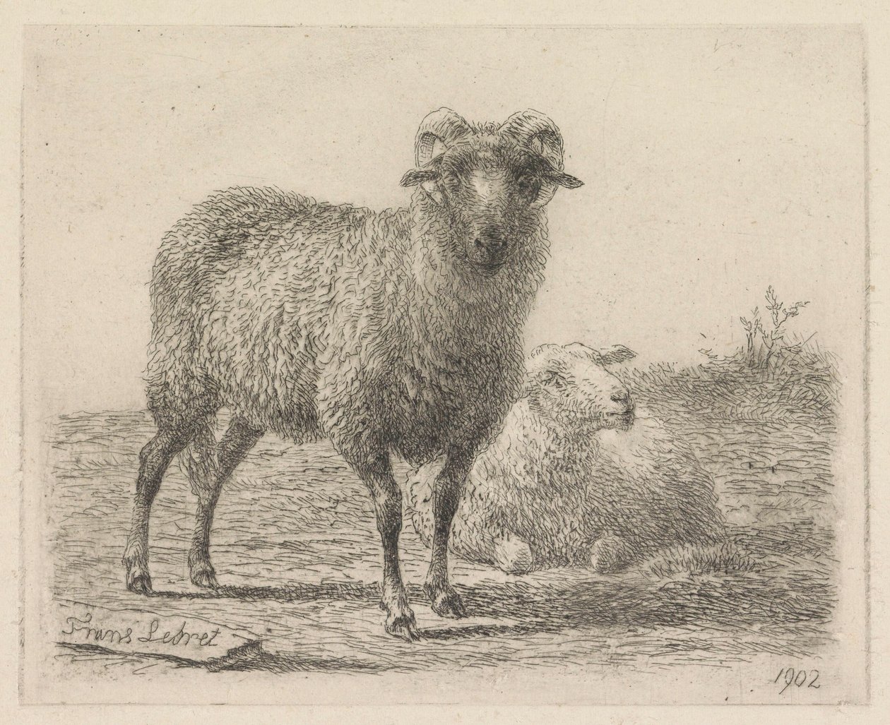 Ram and Sheep by Frans Lebret