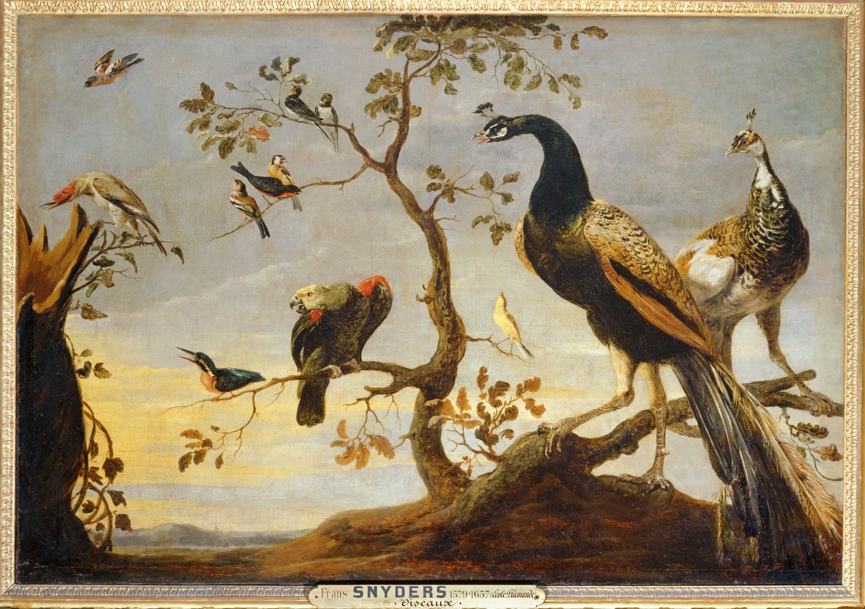 Birds on Branches by Frans Snyders