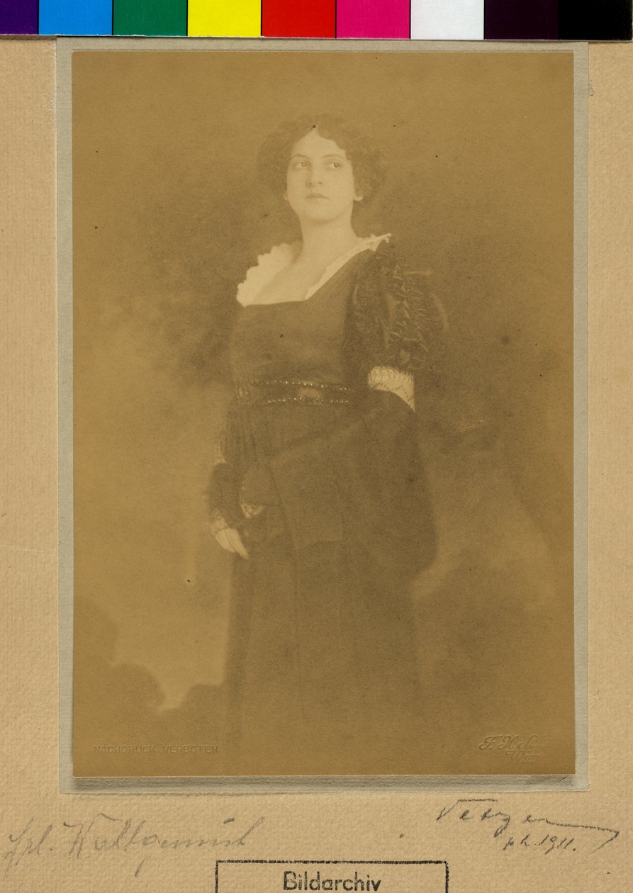 Wohlgemuth by Franz Xaver Setzer