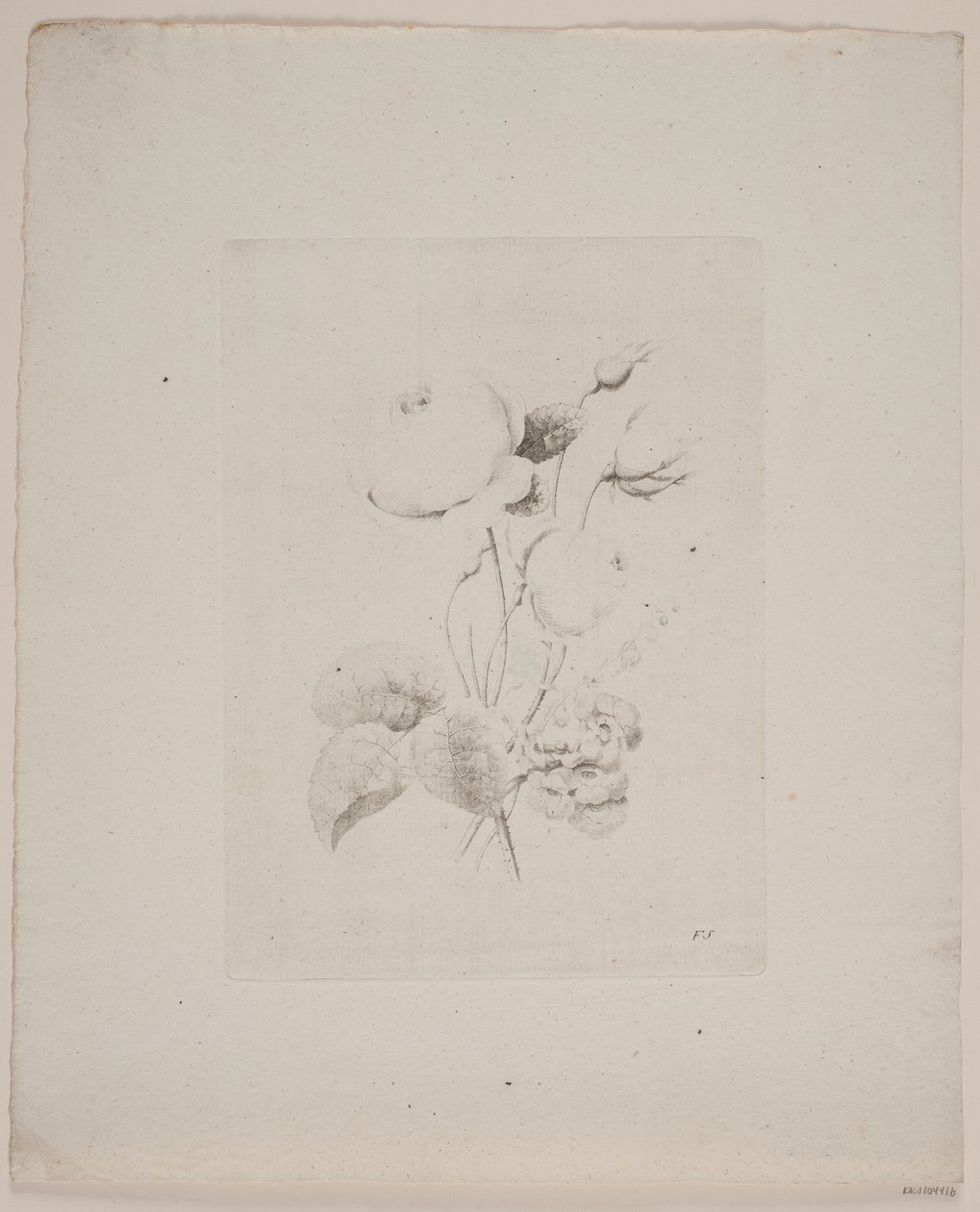 Flower Motif by Frederik Schepelern