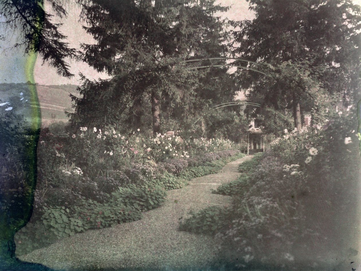 Path in Monet