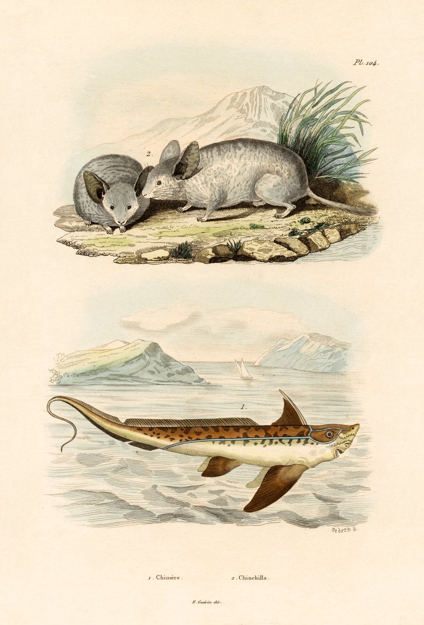 Chimaera by French School