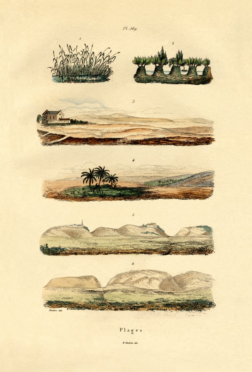 Coast by French School
