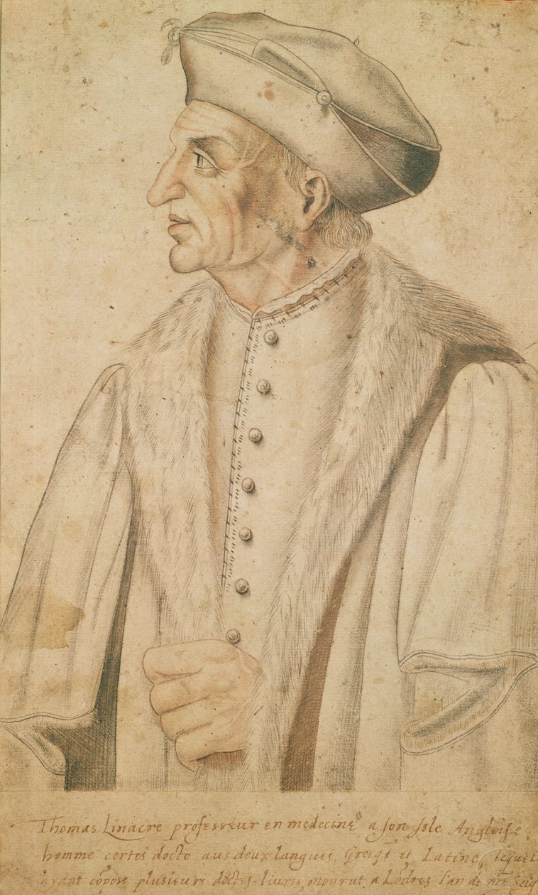 Thomas Linacre by French School