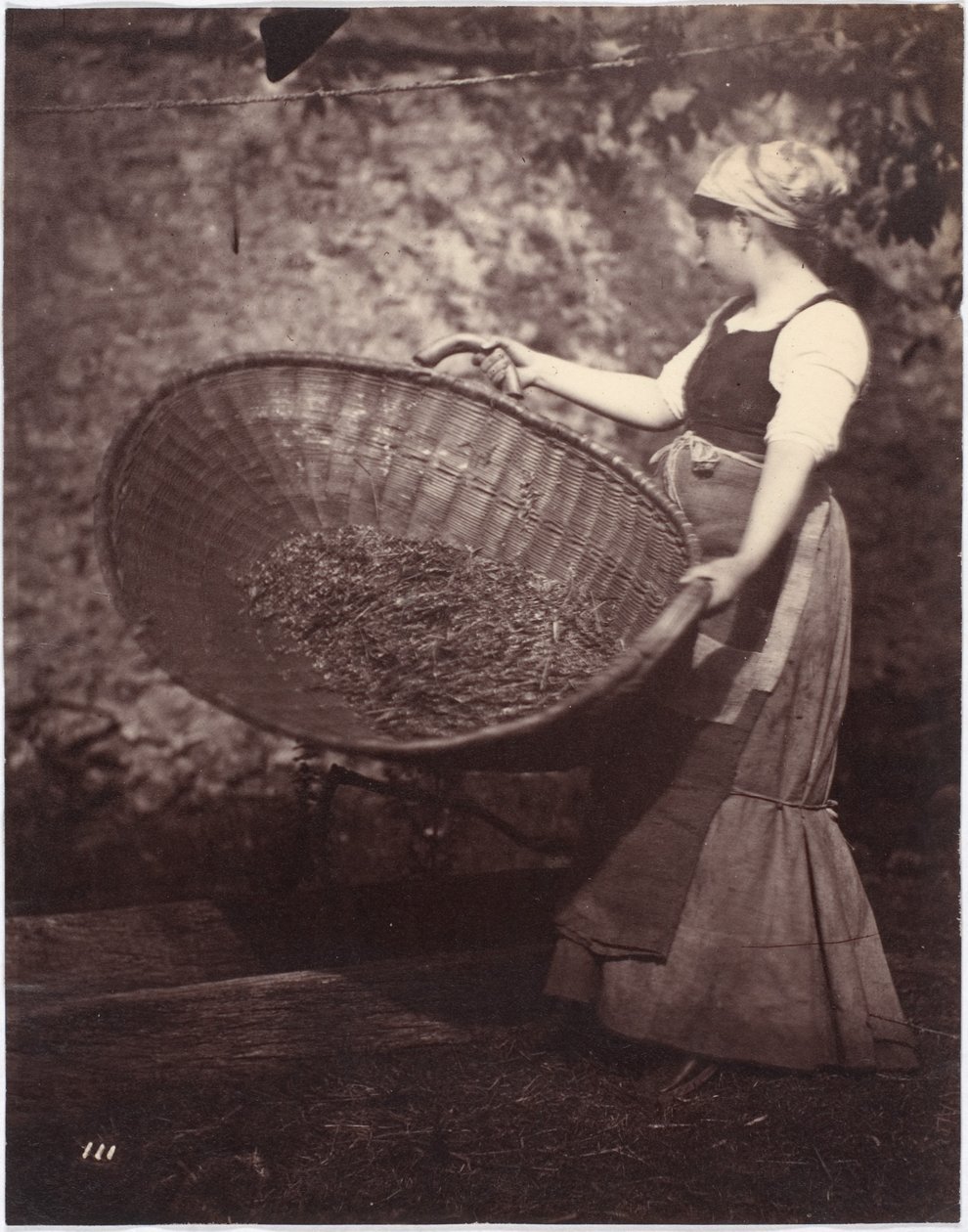 Peasant Woman with Winnowing Basket by French Photographer