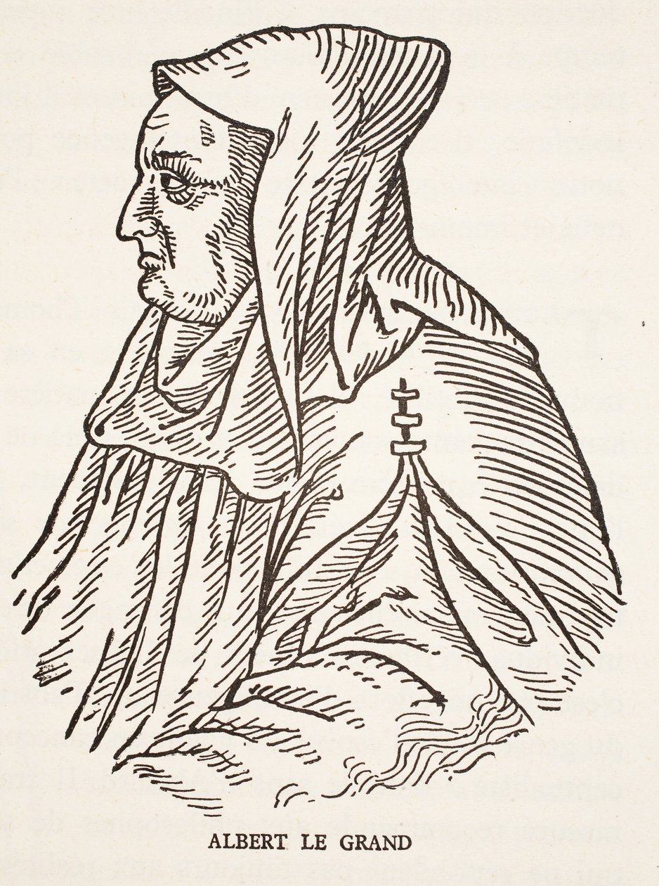 Albert the Great by French School