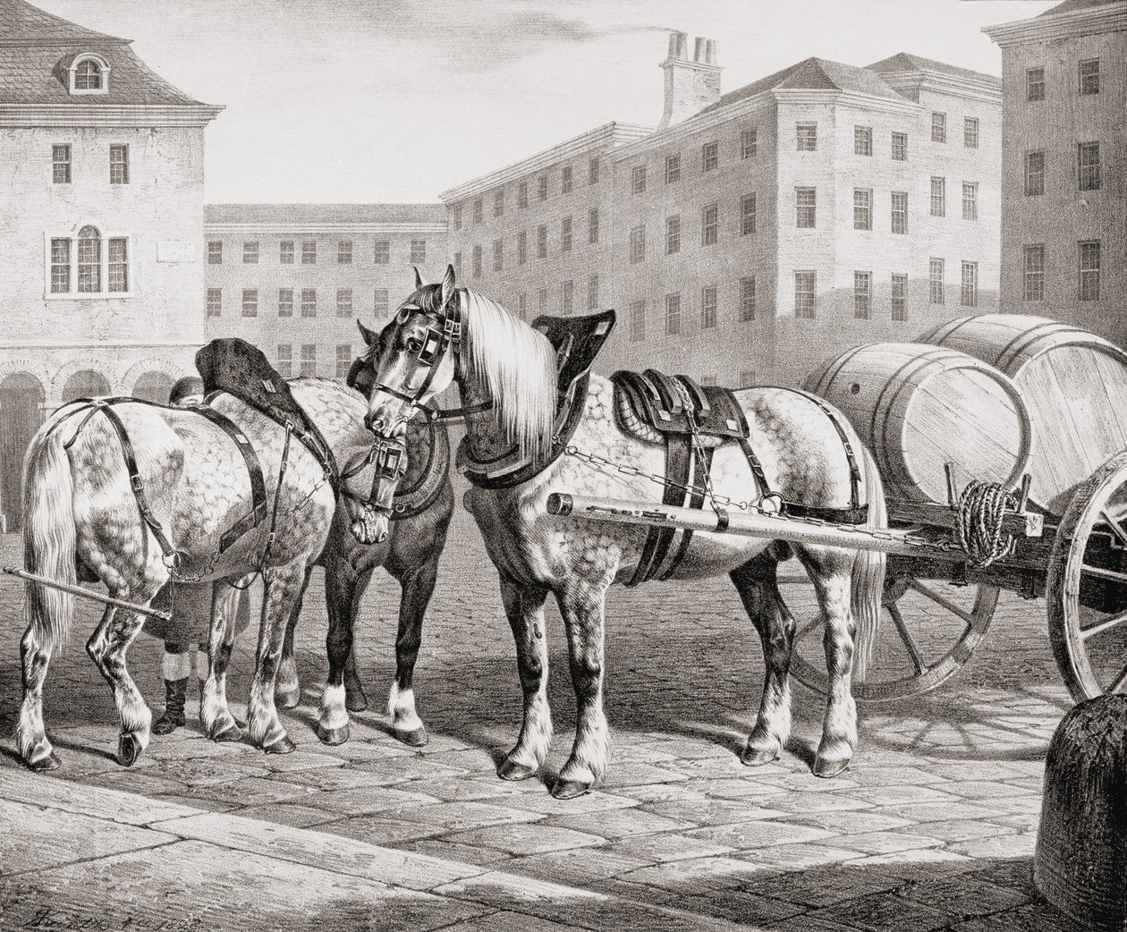 English Farm Horses by French School
