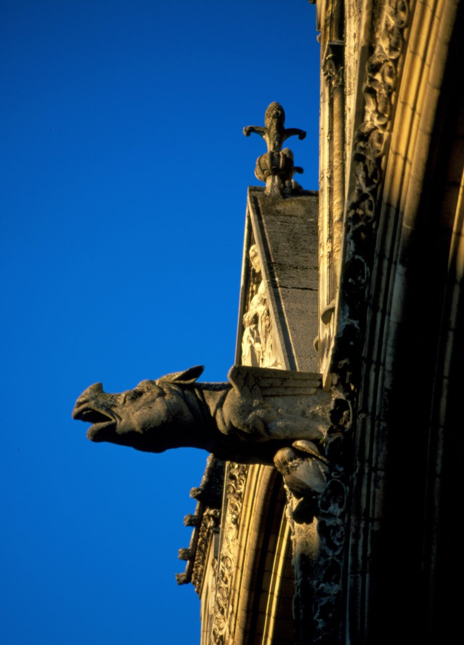 Gargoyle of Laon Cathedral in Aisne (02) by French School