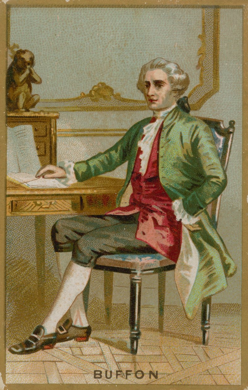 Georges-Louis Leclerc, Comte de Buffon by French School