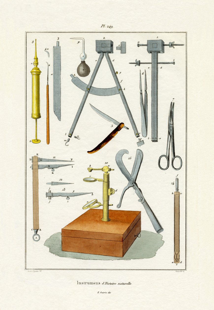 Instruments by French School