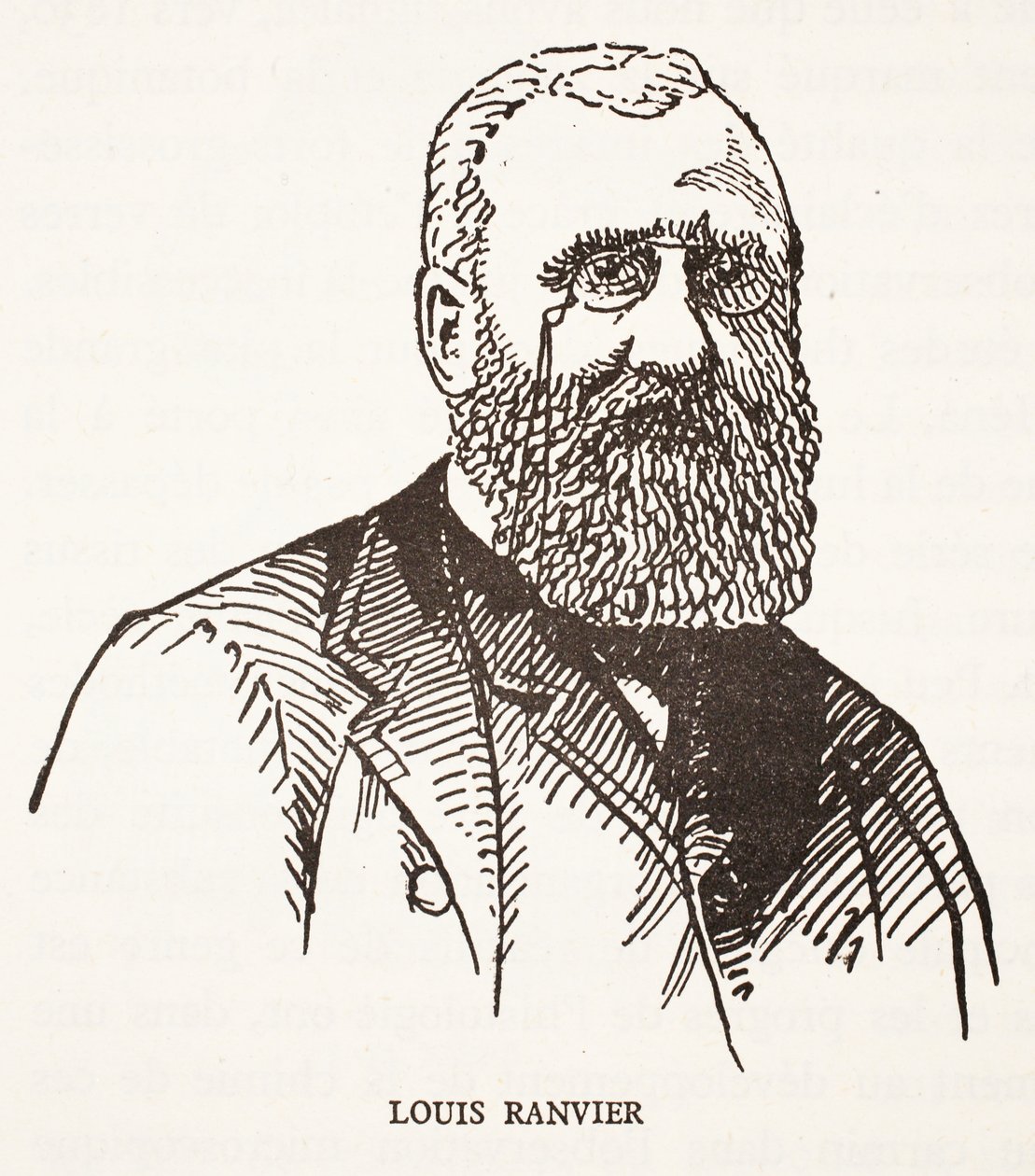 Louis Ranvier by French School