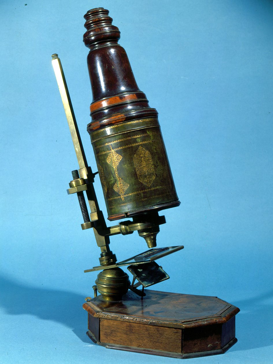Microscope by French School