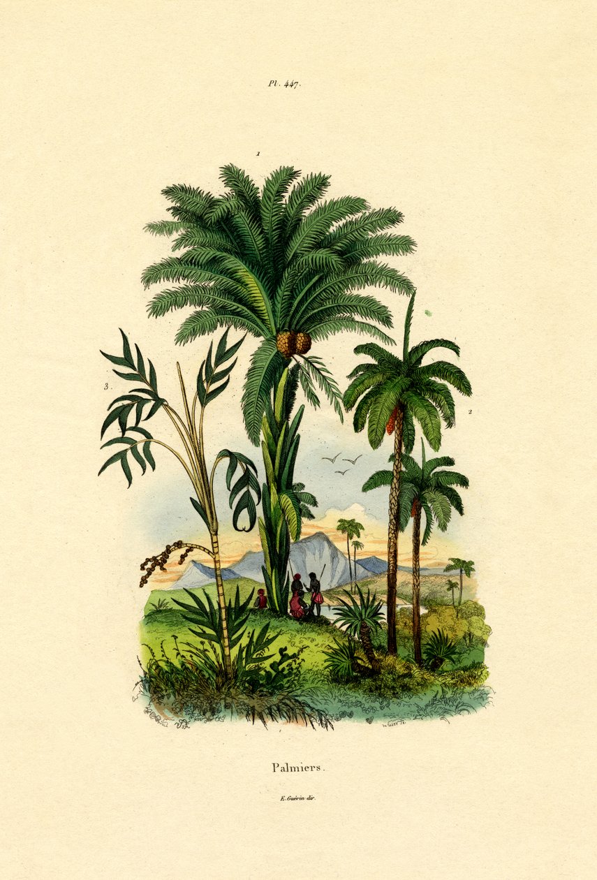 Palm Trees by French School