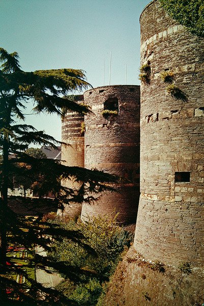 The Chateau d