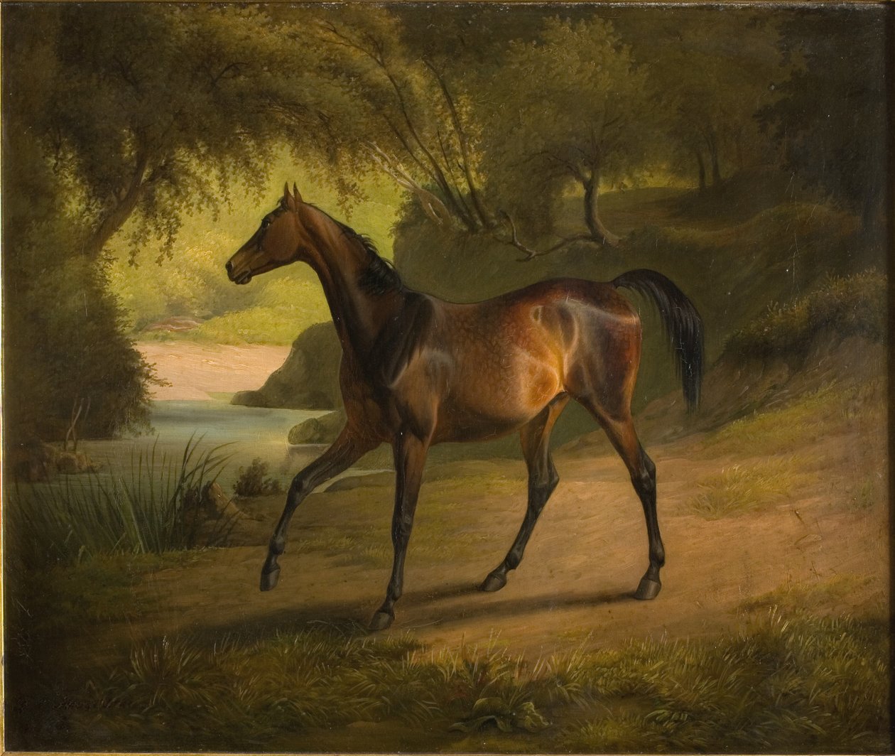 Antonia by Fritz Thomsen