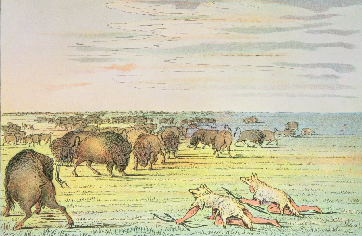 Stalking Buffalo by George Catlin