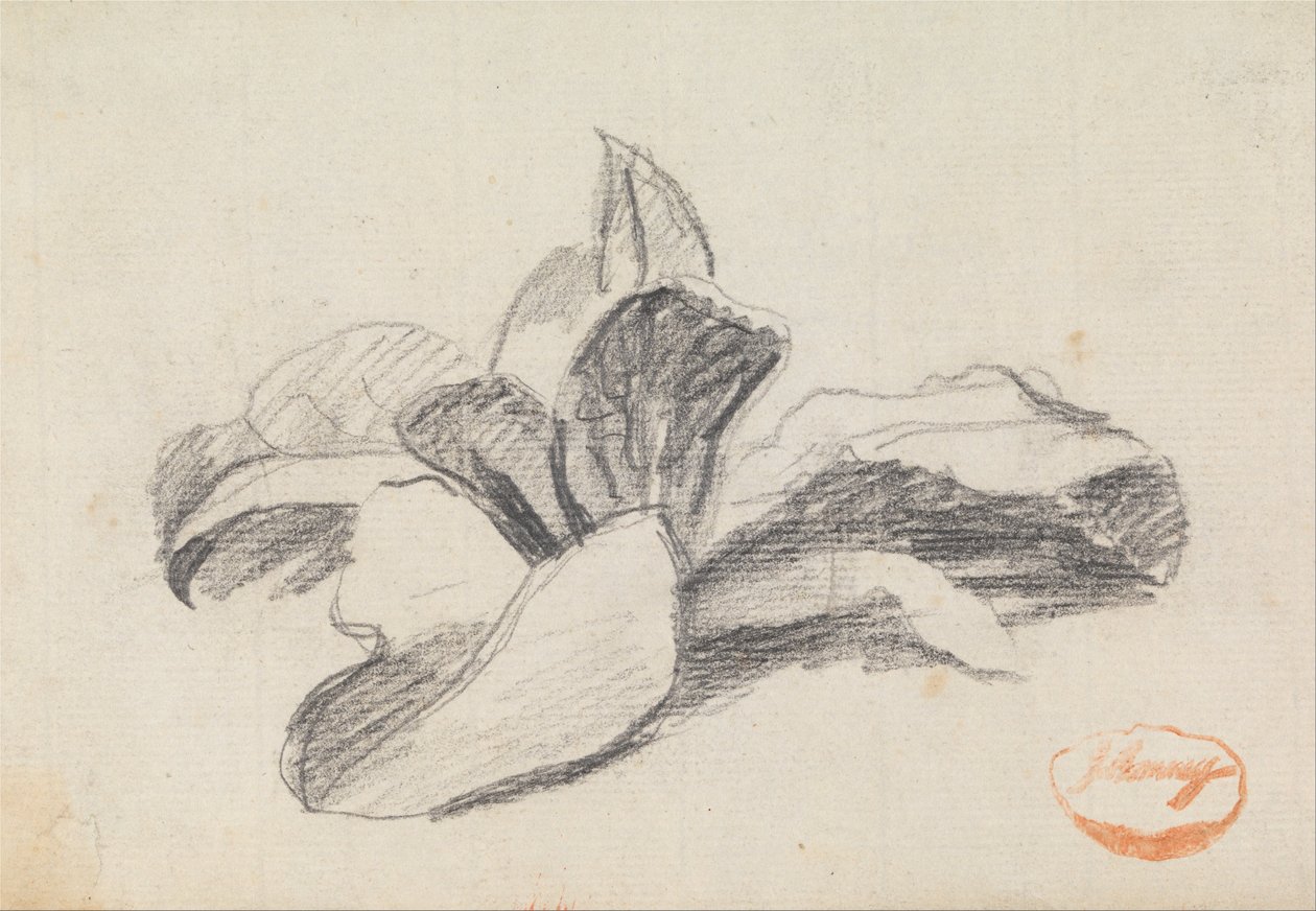 Study of Leaves 2 by George Romney