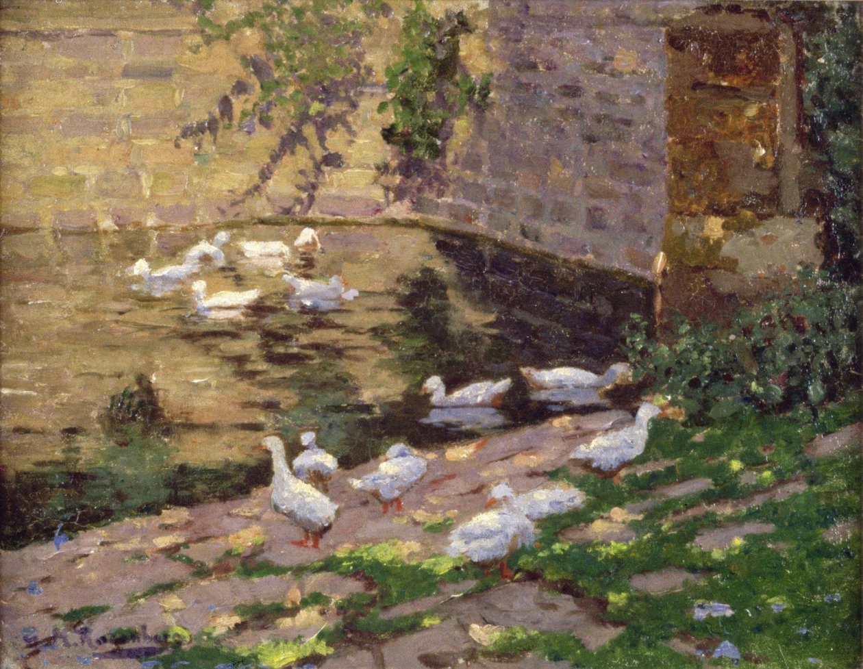 Ducks on a Pond by George Rosenberg