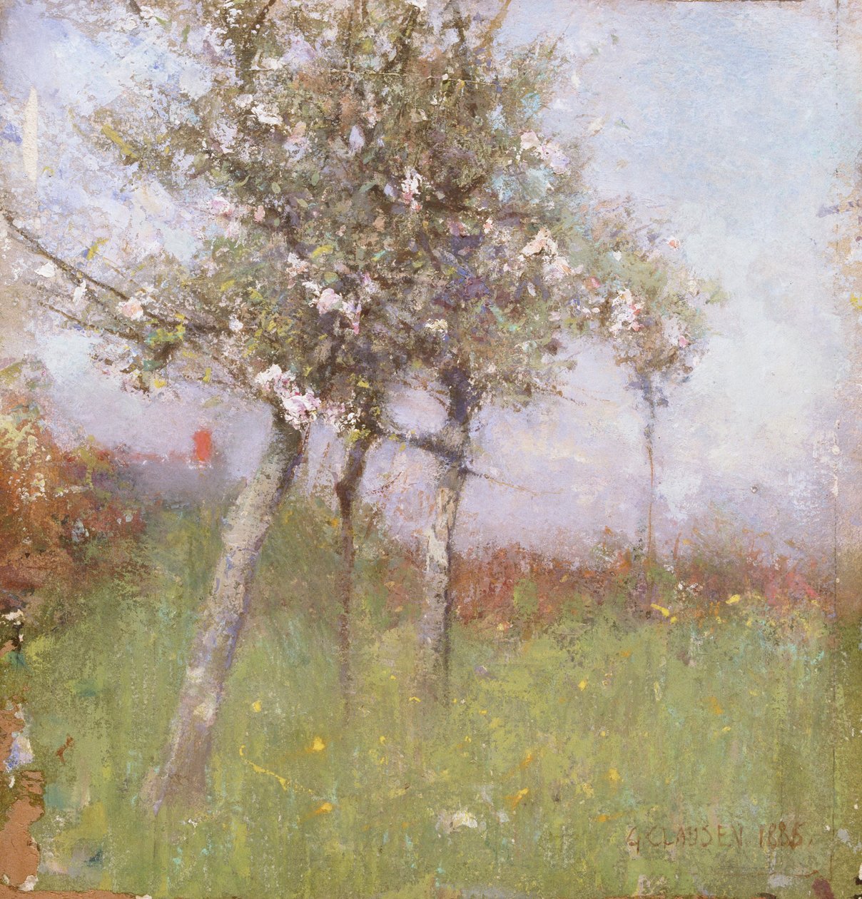 Apple Blossom by George Clausen