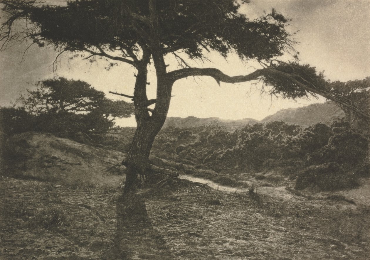 The Long Arm by George Davison