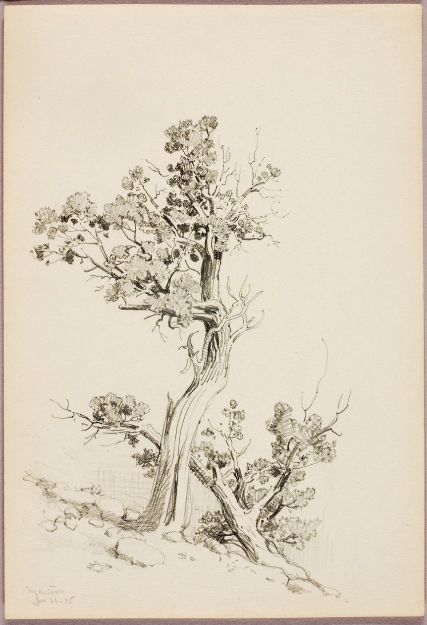 Manitou by George Elbert Burr