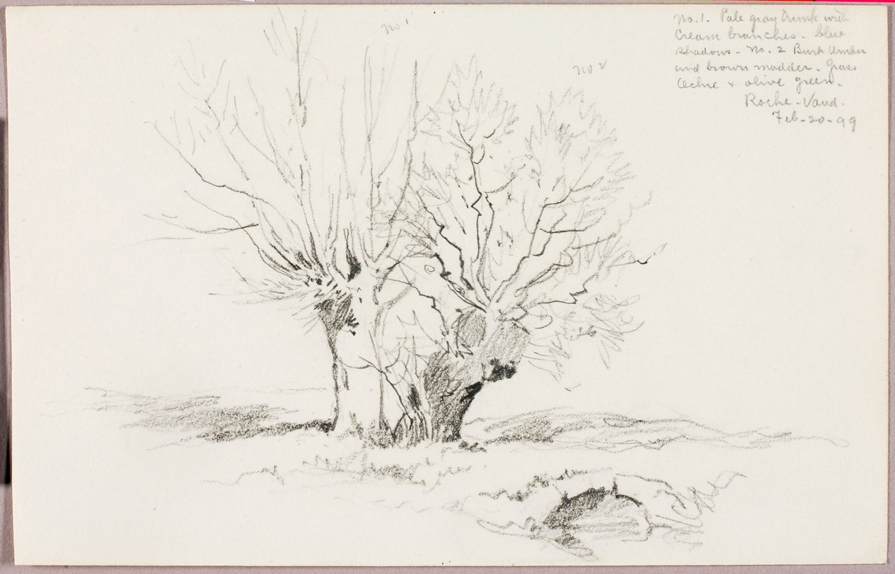Roche Vaud by George Elbert Burr
