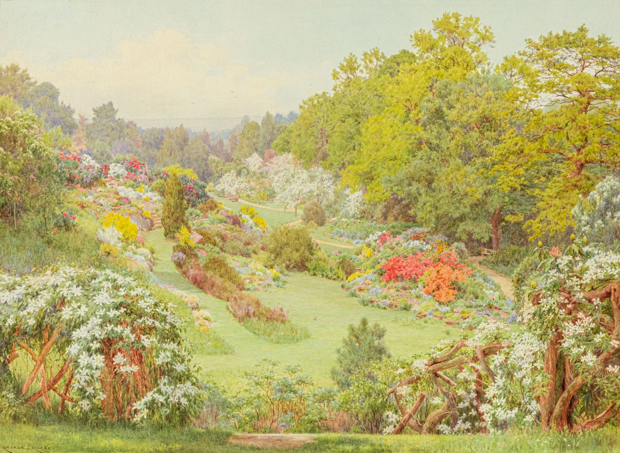Spring Blooms by George Marks