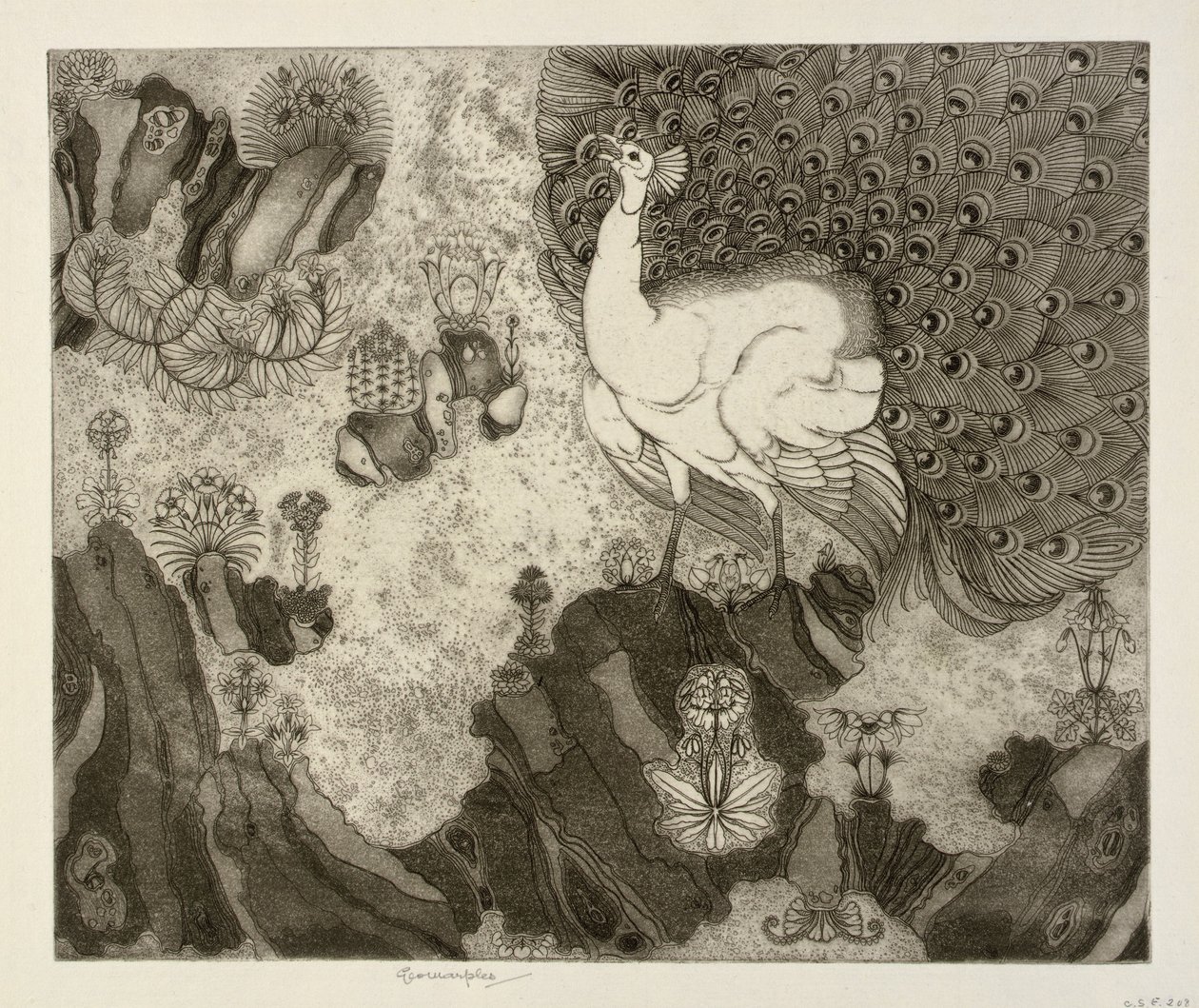 Rock Garden by George Marples