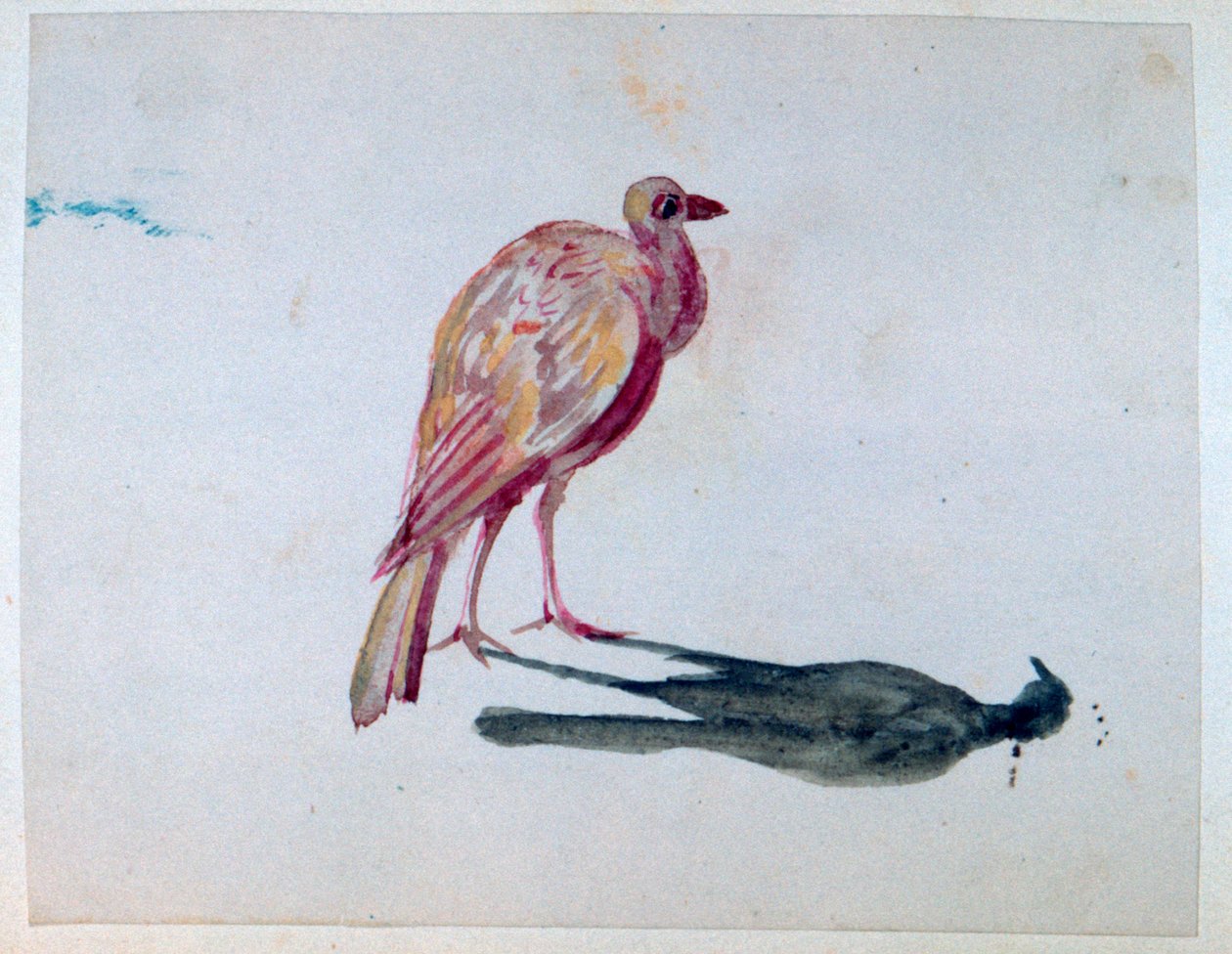 Bird by George Sand