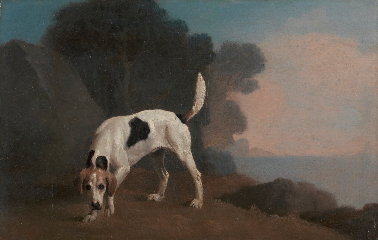 Foxhound by George Stubbs
