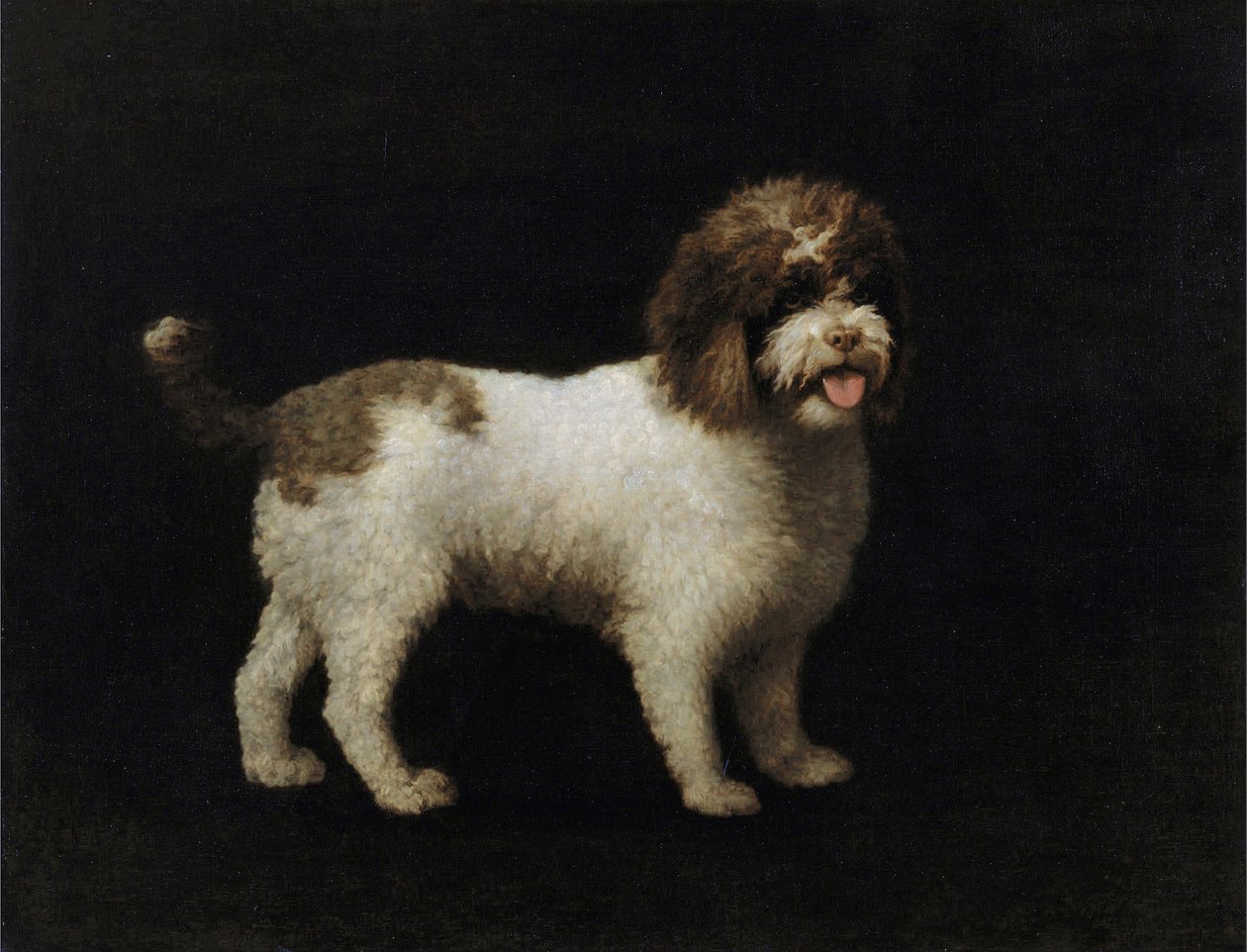 Water Spaniel by George Stubbs