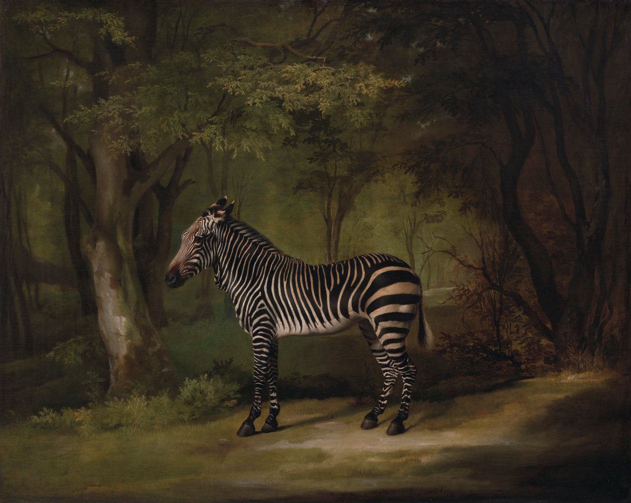 Zebra by George Stubbs