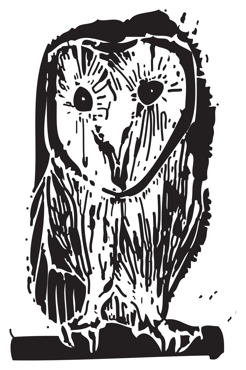 Owl by Gerhardt Isringhaus