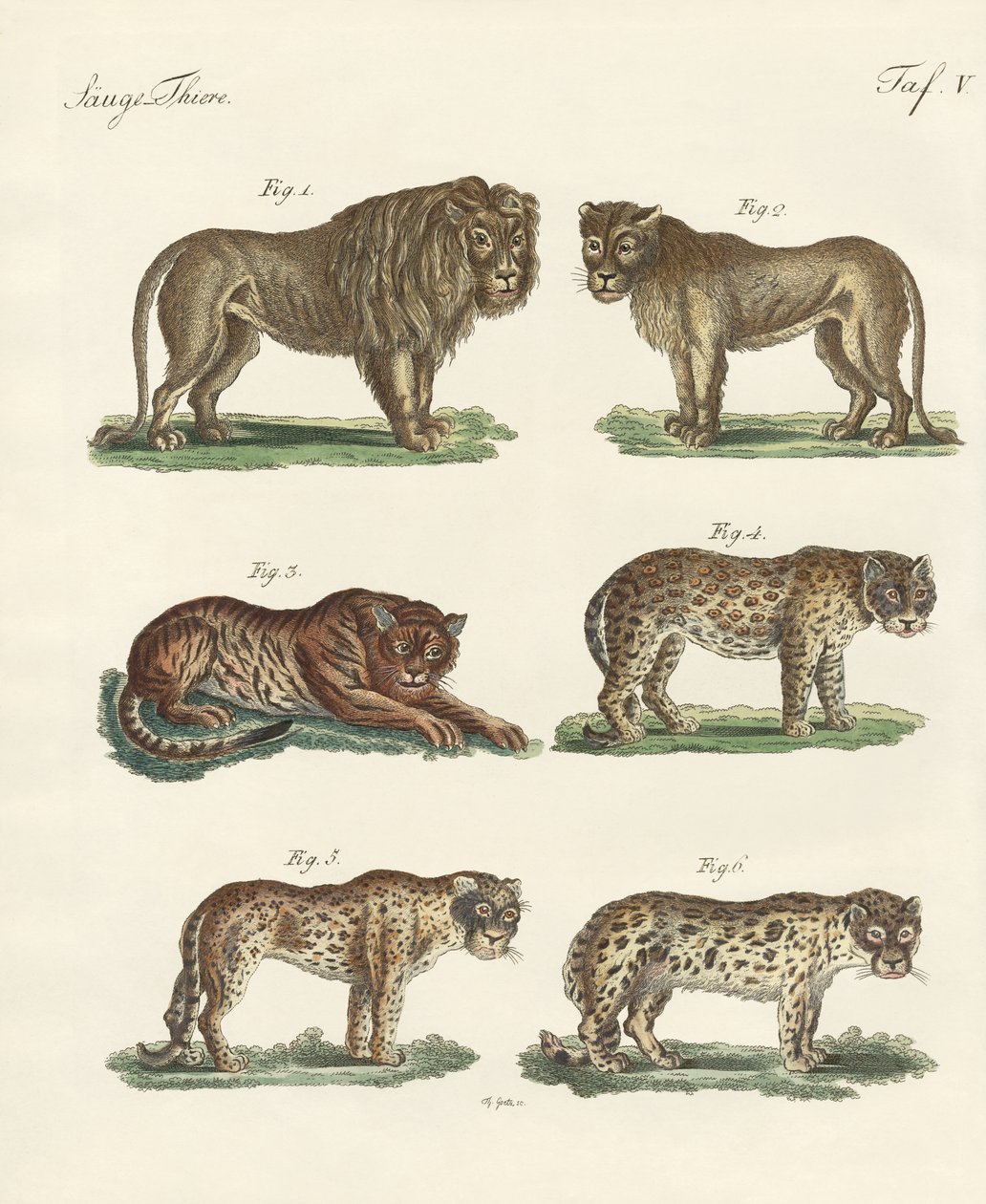 Biting animals by German School