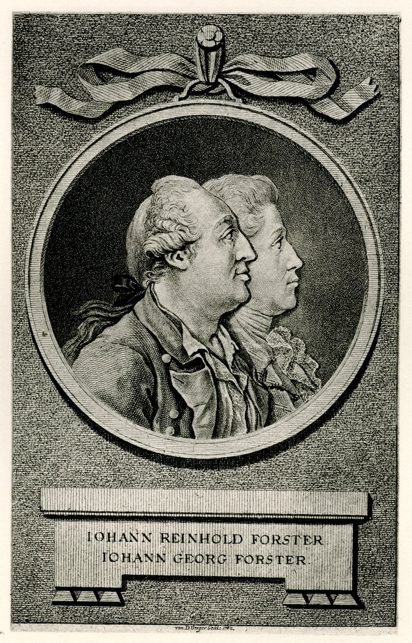 Johann Georg Forster by German School