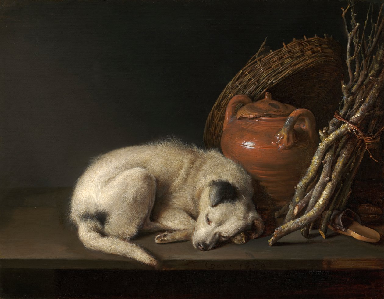 A Sleeping Dog by Gerrit Dou