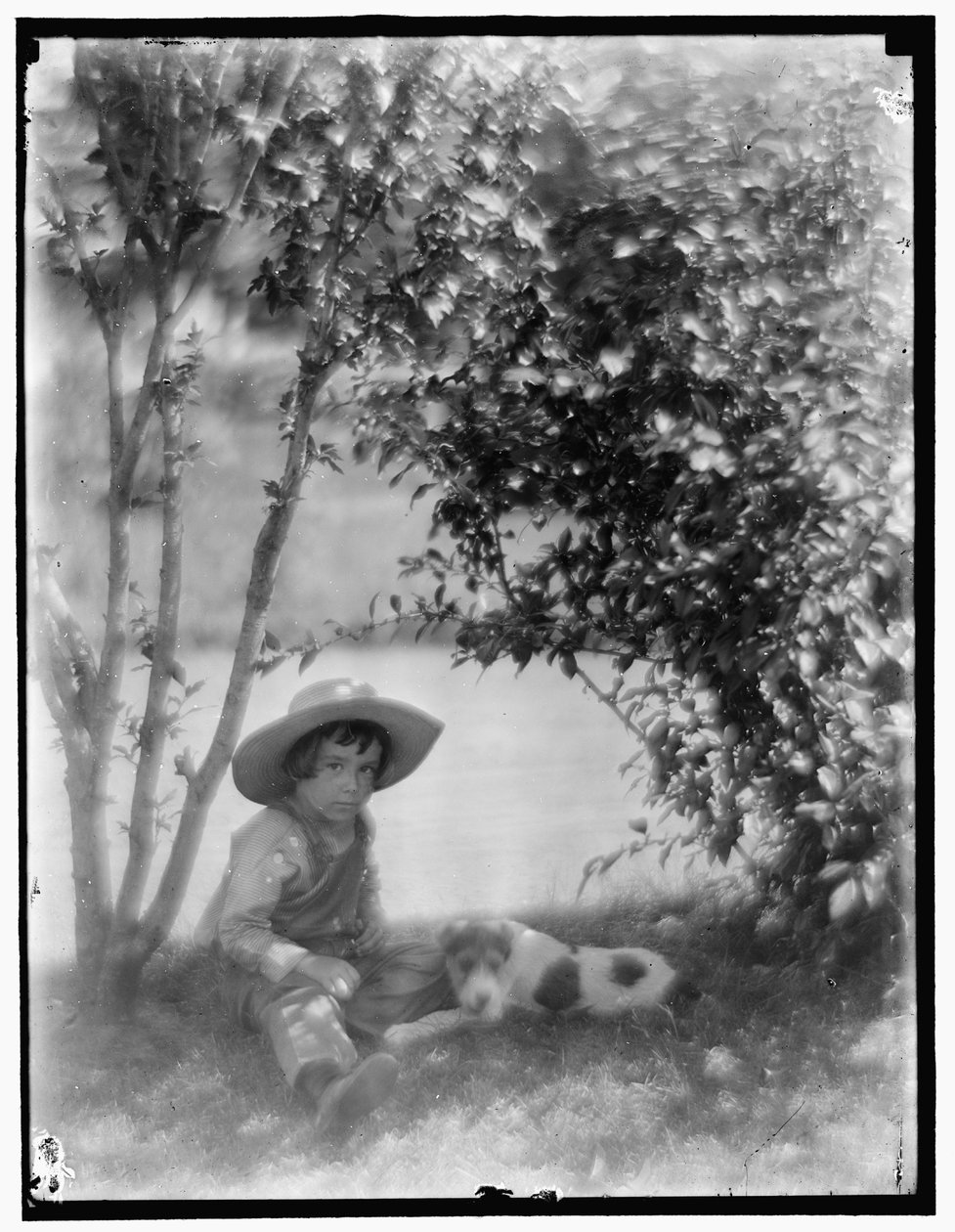 Boy with Dog by Gertrude Käsebier