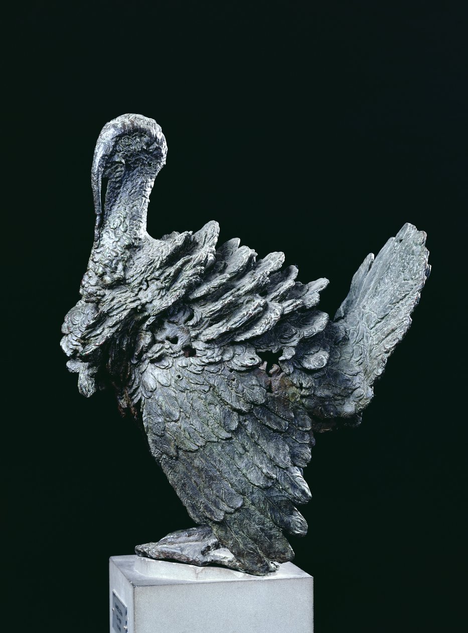 Turkey by Giambologna