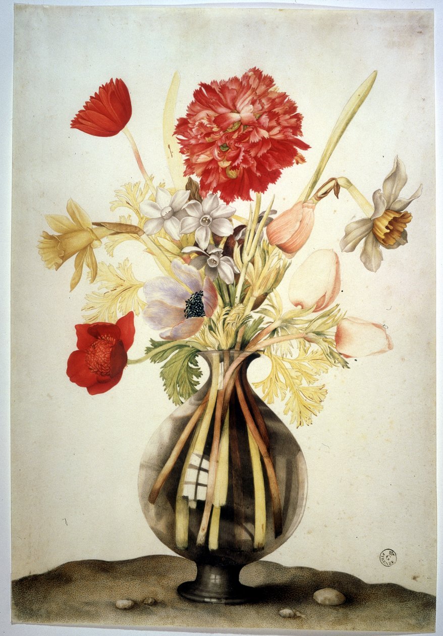 Unknown Image by Giovanna Garzoni