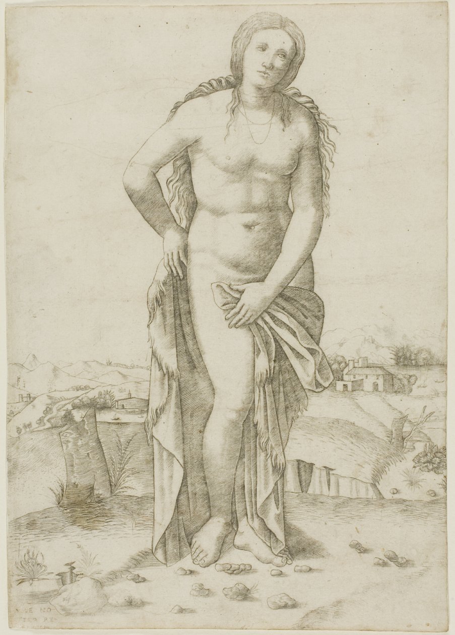 Venus by Giovanni Antonio da Brescia